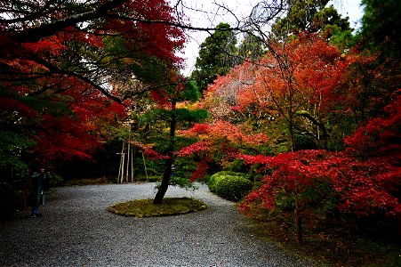京都龍安寺/Kyoto Ryoanji