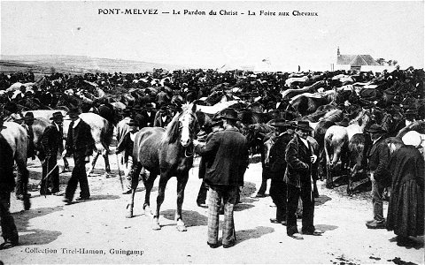 Foire aux chevaux de Pont-Melvez vers 1900 photo