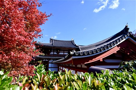 京都宇治平等院鳳凰堂 / Byodoin Hoohdo temple in Kyoto