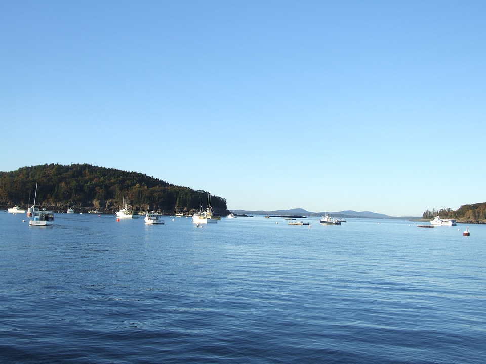 Ship Harbor Nature Trail - Bass Harbor