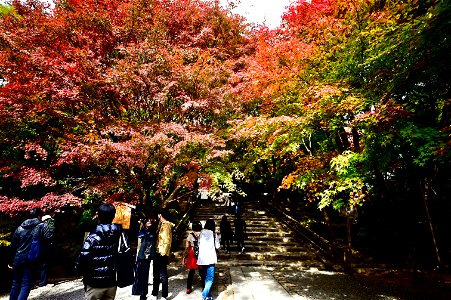 京都龍安寺/Kyoto Ryoanji