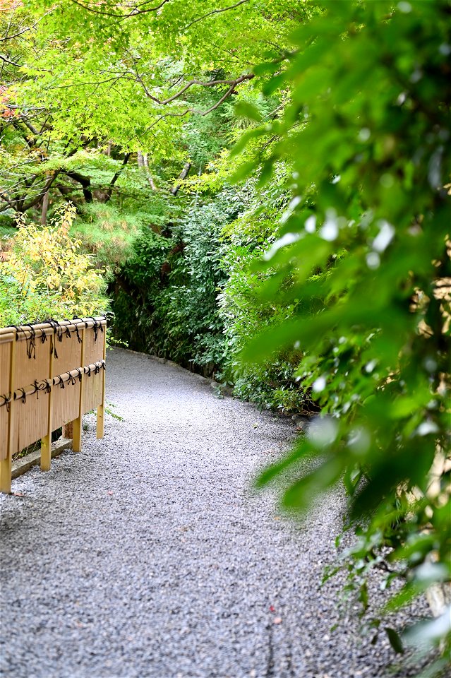 京都龍安寺/Kyoto Ryoanji