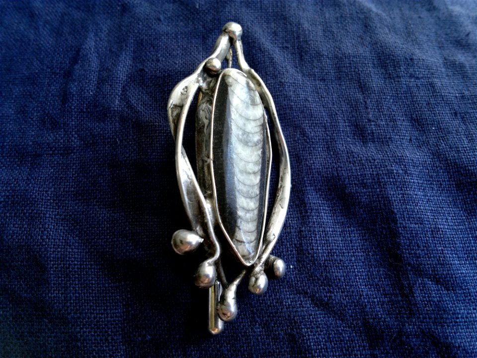 Brooch 10 photo