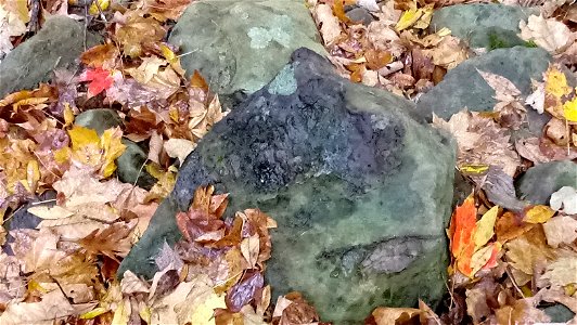 20171025_102839