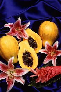 Hawaiian Papayas Displayed With Pink Flowers