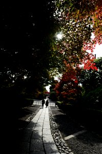 京都龍安寺/Kyoto Ryoanji