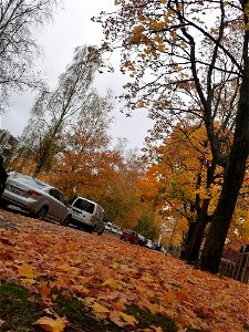 IMG_20211008_083539