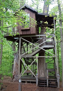 Treehouse in Longwood Gardens photo