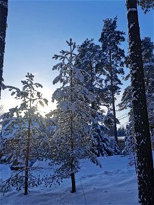 IMG_20210203_133128