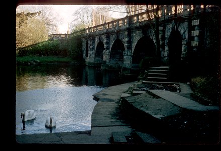 Cherwell River, Magdalen College photo