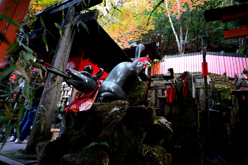 伏見稲荷/Fushimi Inari Shrine
