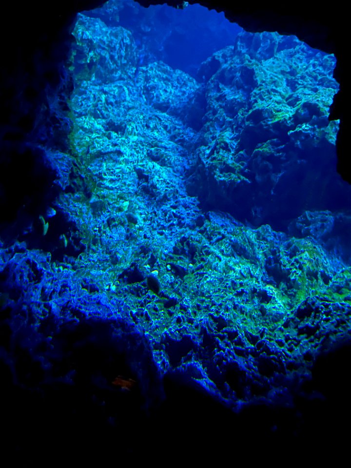 京都水族館 / Kyoto Aquarium