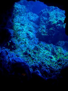 京都水族館 / Kyoto Aquarium