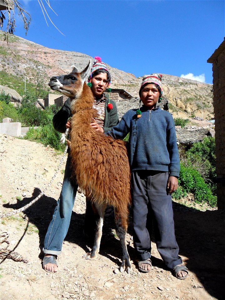 Bolivian boys of North Potosi, Bolivia