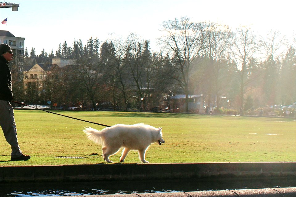 walking to the sun