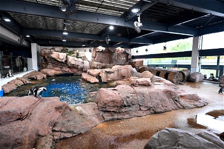 京都水族館 / Kyoto Aquarium