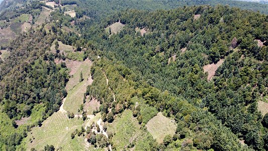 SEIARN_SEIF_DSIA_FERNANDO_VALDEZ_CALDERÓN_DJI_0078