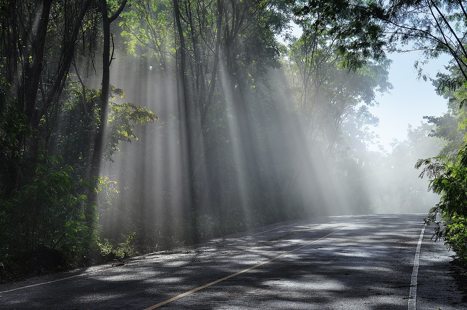 Nature Beautiful Landscape Country Road