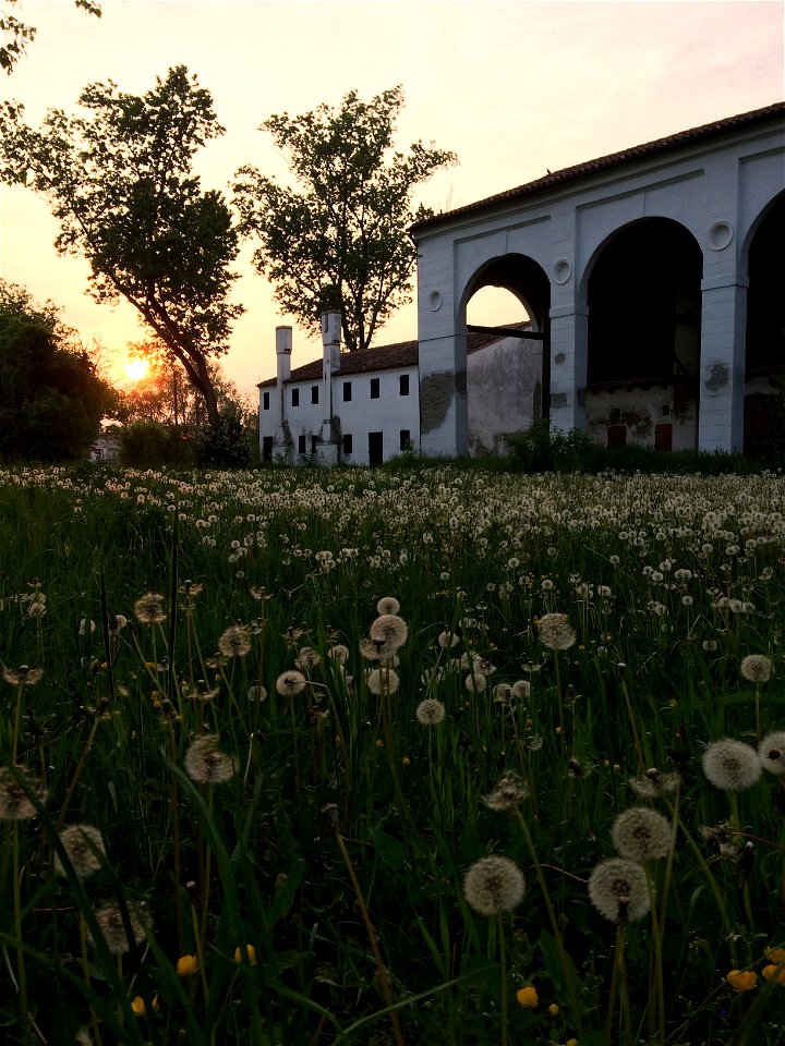 I casali | Lorenzo Fidora Tenuta Civranetta Cona