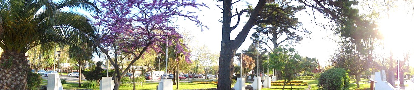 DSC01049-001 (Copiar)