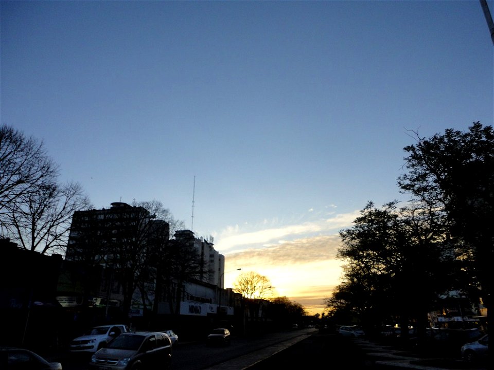 DSC00220 (Copiar)