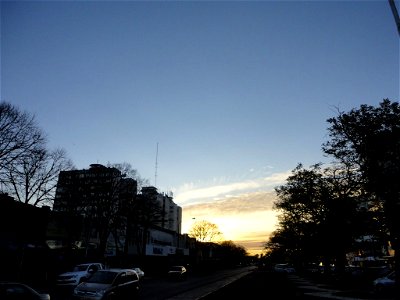 DSC00220 (Copiar)