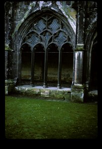 Cloister, Canterbury Cathedral photo