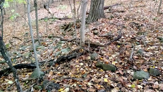 20171025_102736(1)