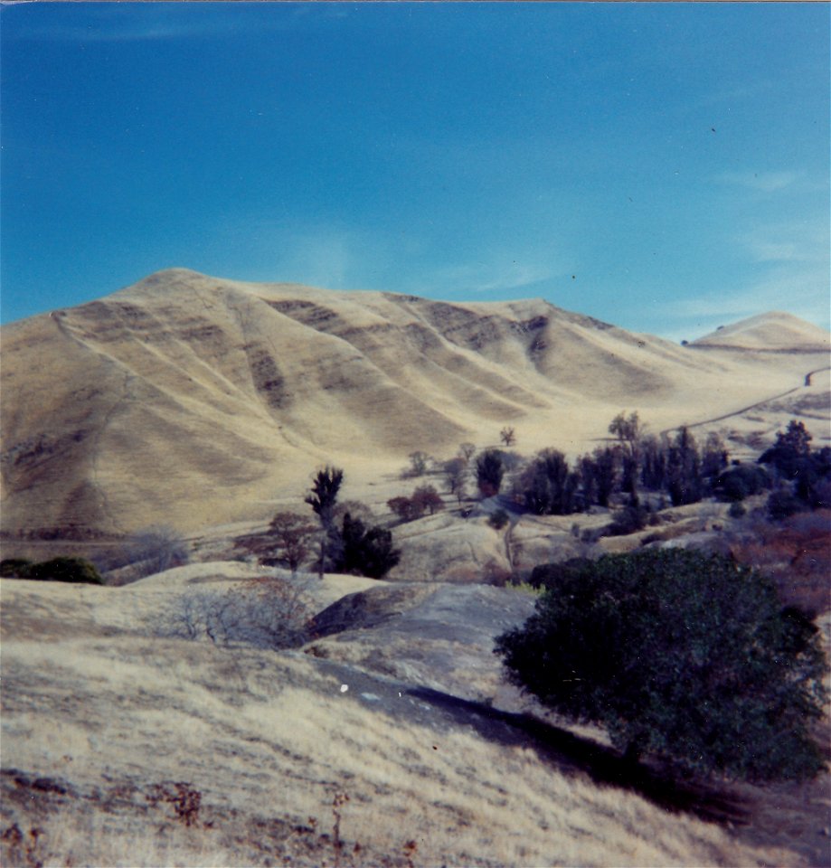 HAYES-BLACK DIAMOND MINE REGIONAL PRESERVE-FORMER LOCATION OF SOMERVILLE