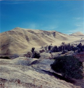 HAYES-BLACK DIAMOND MINE REGIONAL PRESERVE-FORMER LOCATION OF SOMERVILLE