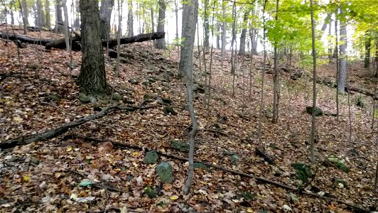 20171025_103733