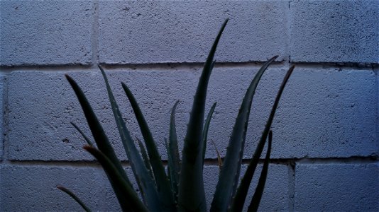 2 Elementos (2).