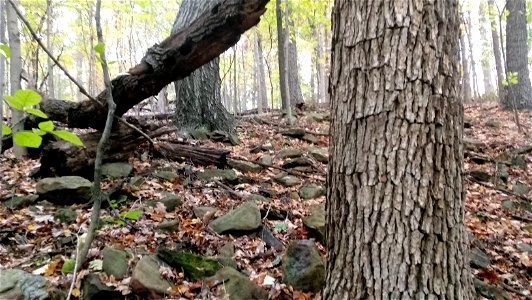 20171025_103809