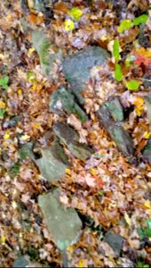 20171025_104015