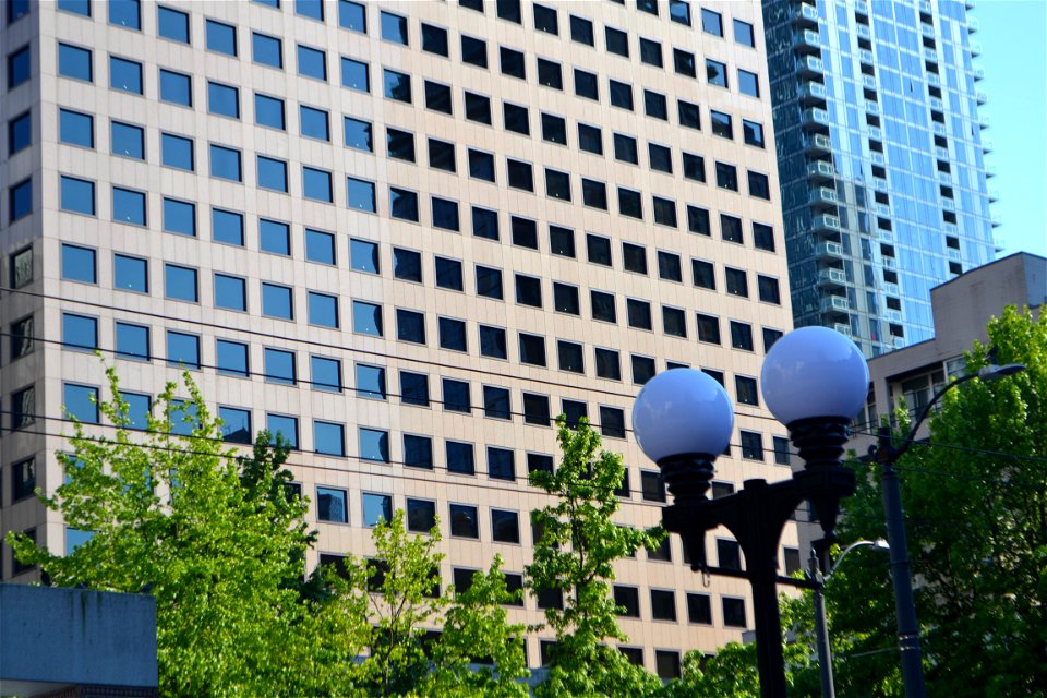 Long Building