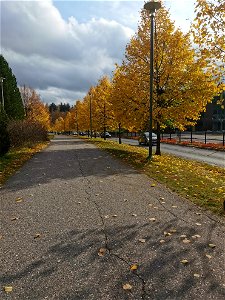 IMG_20211008_144400