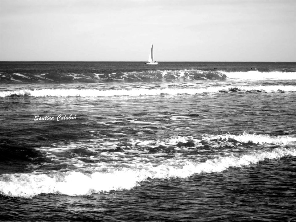 DSC04559-001 (Copiar)