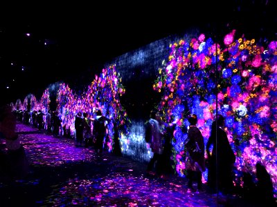 teamLab Borderless Odaiba