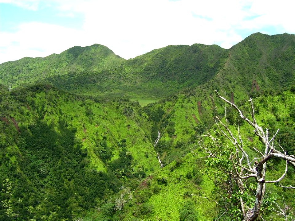 Ka'au Crater on O'ahu photo