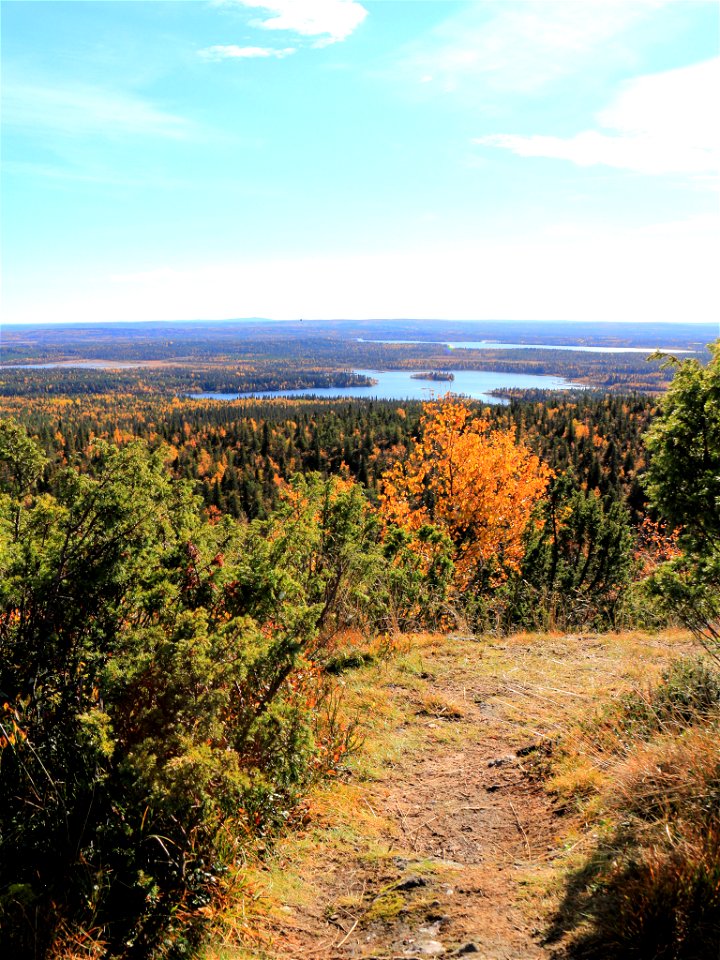Vuosselijärvi
