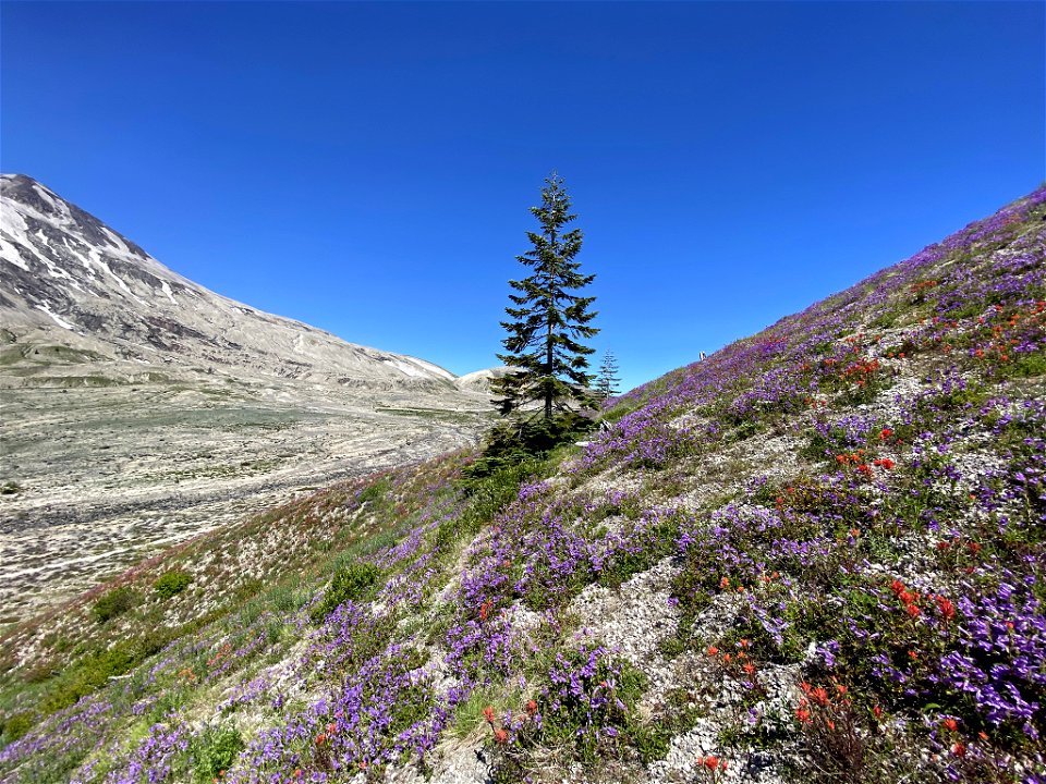 Plains of Abraham in WA