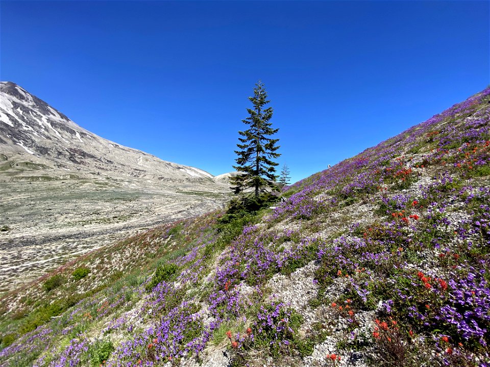 Plains of Abraham in WA photo