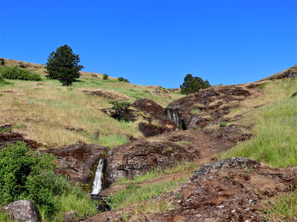 Little Maui Falls in WA photo