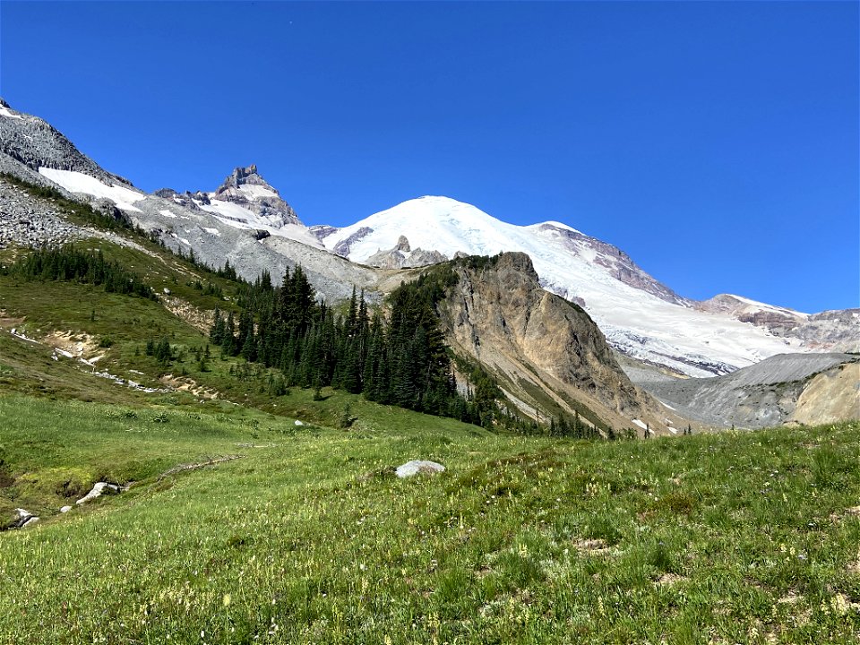Summerland at Mt. Rainier NP in WA