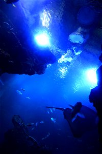 京都水族館 / Kyoto Aquarium