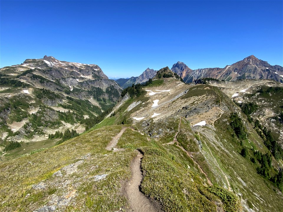 Yellow Aster Butte in WA