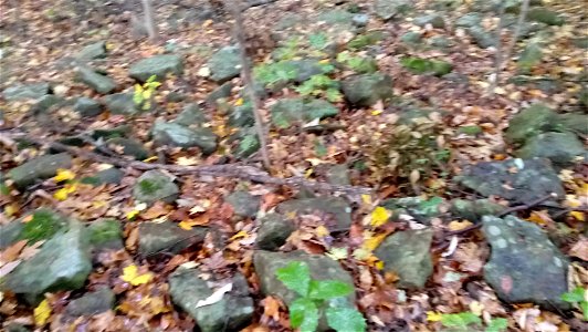 20171025_104221