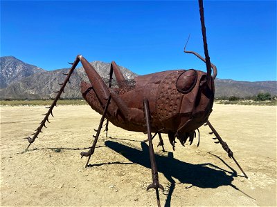 Metal Art Sculpture at Anza Borrego in CA