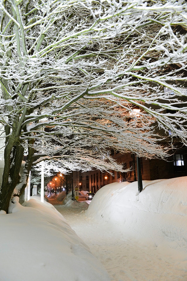 Otaru Snow Light Path Festival