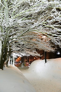 Otaru Snow Light Path Festival